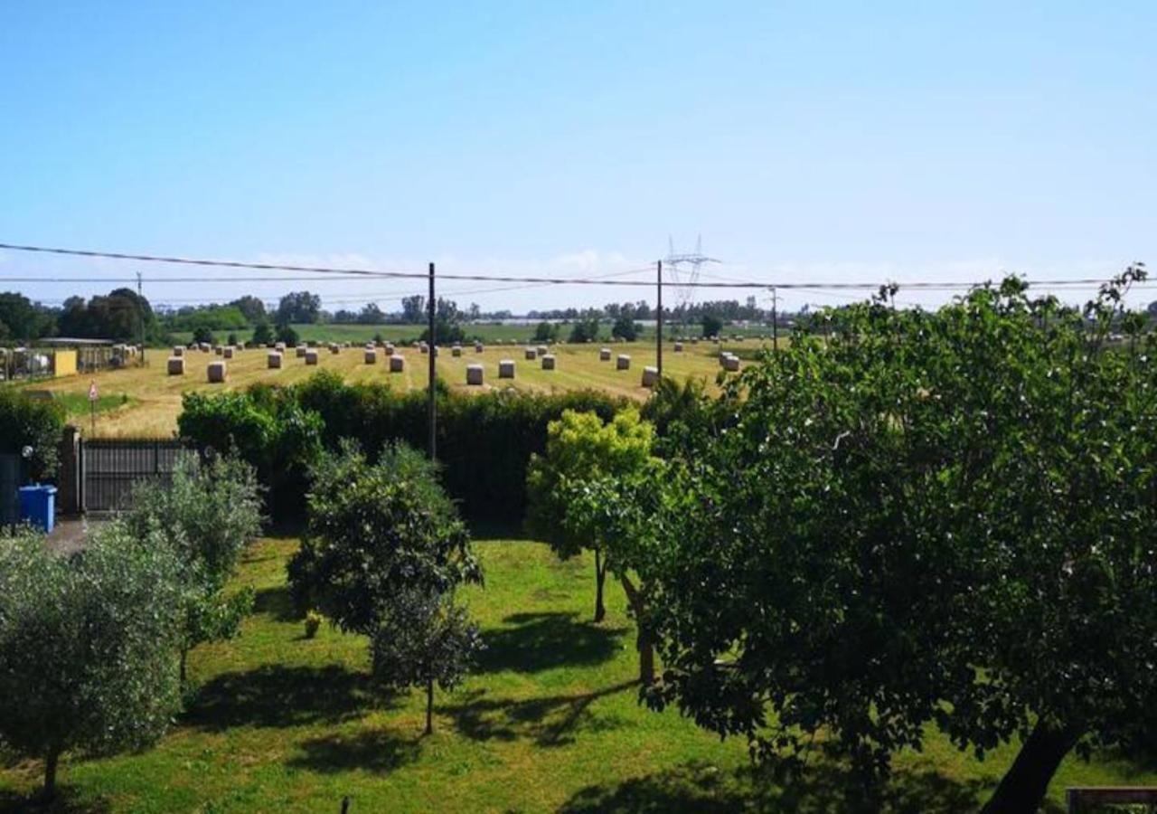 Borgo San Michele  Eco House San Michele旅舍 外观 照片